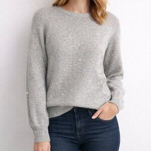 Ann Taylor Cream and Silver Sequin Sweater - Size Small